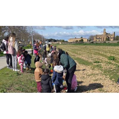 ¿Por qué han plantado 32 árboles en el paseo del Monasterio de la Oliva?: el bonito gesto de los escolares de Carcastillo