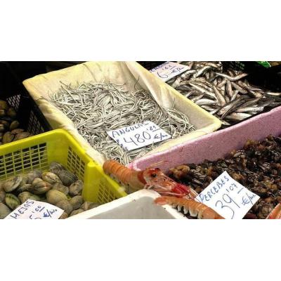 El TSJPV ratifica la decisión del Gobierno Vasco de suspender la campaña de pesca de la angula para la temporada 2025/2026