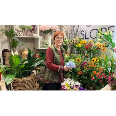 La navarra que ha pasado media vida entre flores en Pamplona busca ahora relevo para su tienda