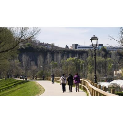 Una alfombra verde para el parque de La Nogalera