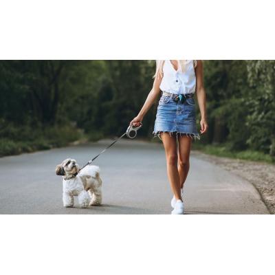 Mascotas en primavera y Semana Santa: cómo evitar el estrés ante viajes y planes fuera de casa