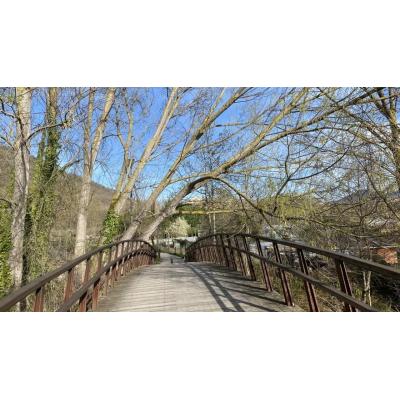 La caída de un árbol de grandes dimensiones corta el paseo del Arga entre Villava y Huarte