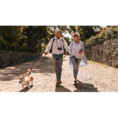 Lesiones más comunes que puedes sufrir al pasear a tu perro y cómo evitarlas
