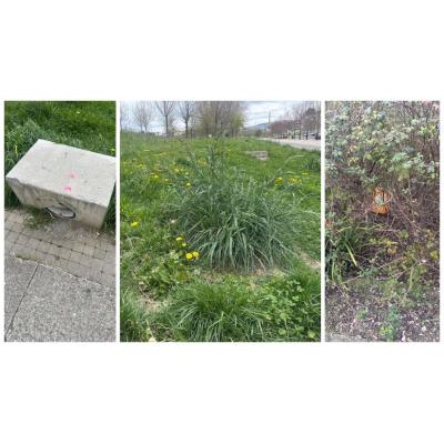 Basura, ratas y desperfectos en el parque con “cero mantenimiento” que Asiron ha convertido en una selva