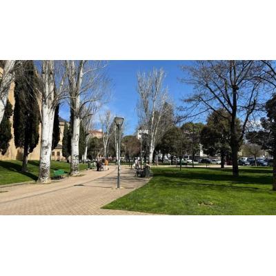 El vecindario del II Ensanche quiere más árboles en el parque Serapio Esparza
