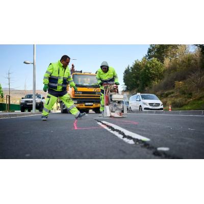 Los informes ya advertían de la inestabilidad en Beloso, pero Asiron taló más de 100 árboles para su carril bici
