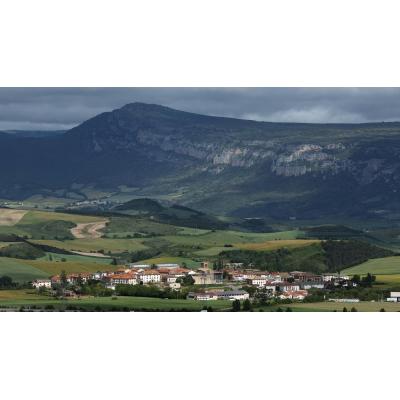 Siete municipios y concejos piden parar el proyecto solar de la Sierra de Sarbil