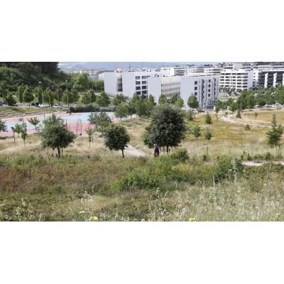 Sospecha de facturas fraccionadas por trabajos en Mina Muga