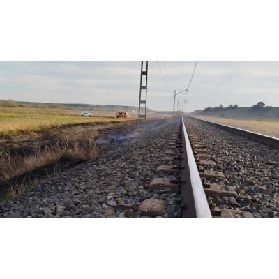 Un incendio de vegetación en Pitillas interrumpe el tráfico ferroviario entre Pamplona y Castejón
