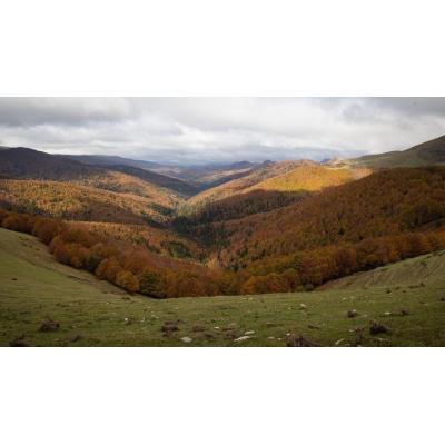 "El precioso hayedo declarado Reserva de la Biosfera" con seña de identidad navarra que maravilla a la revista Viajar