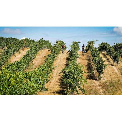 El restaurante de un pueblo de Navarra donde disfrutar de los mejores asados y vinos ecológicos