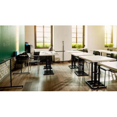 Más de la mitad de los profesores ha sufrido agresiones