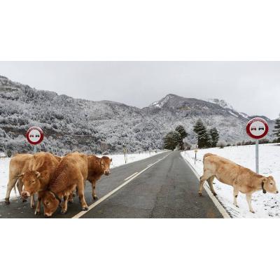 ¿Qué tiempo hará en Navarra esta semana? Esta es la previsión de AEMET