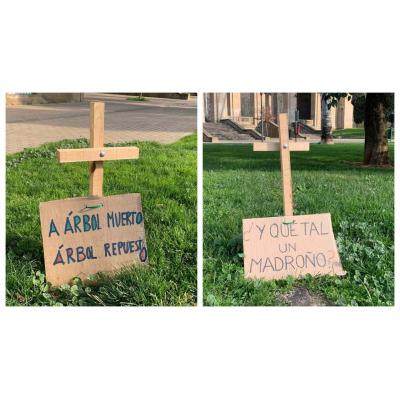 Las 25 cruces que denuncian el arboricidio de Asiron en un parque de Pamplona: “La hierba no da sombra”