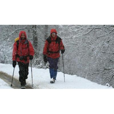 El Pirineo navarro, en aviso amarillo por nieve