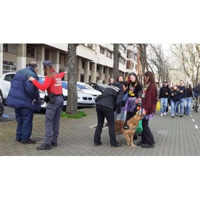 Alerta en Pamplona: la Policía Foral avisa de estafas en la reventa de entradas para la Carpa Universitaria