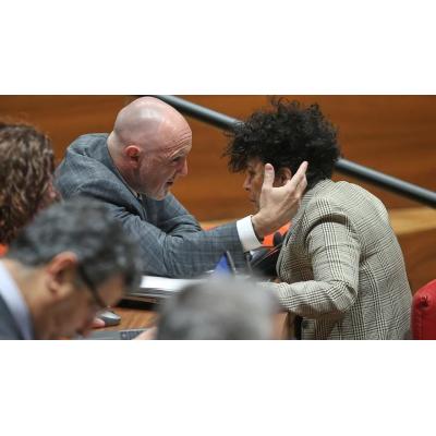 De la ikurriña de Esparza en Aoiz a “está aquí por un sueldo”: el bronco debate entre UPN y PSN en el Parlamento de Navarra