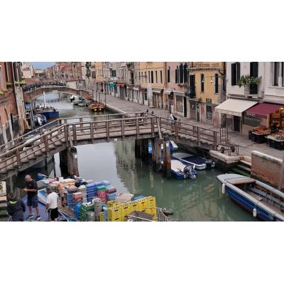 Venecia