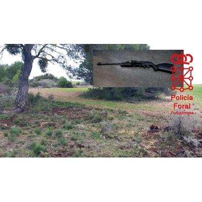 Denunciado un coto de la Ribera por tener un cebadero de especies cinegéticas