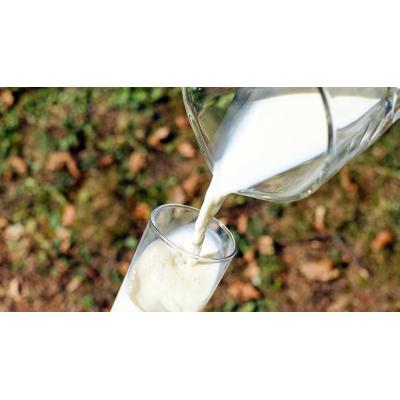 Leche sin lactosa, pan sin gluten... El peligro de las modas en la alimentación de los niños