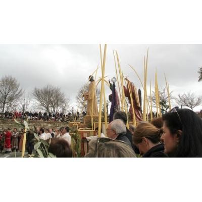 Pamplona se llena de palmas y olivos: guía y horario de la procesión del Domingo de Ramos este 29 de marzo