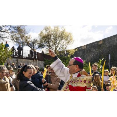 Domingo de muchos ramos y tradición en Pamplona