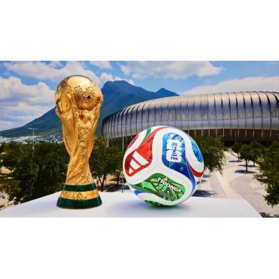 Amnistía Internacional alerta del riesgo de "represión" en el Mundial