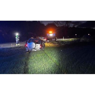 Jabalíes, corzos, alcohol y 43 accidentes: el intenso fin de semana que ha obligado a intervenir a la Policía Foral