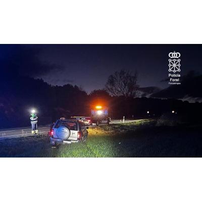 Diez accidentes por atropellos de animales este fin de semana en Navarra