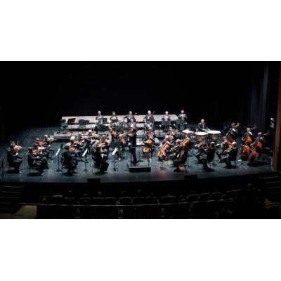 La Orquesta Sinfónica de Navarra continúa el Ciclo Andante 25-26 con conciertos en Estella y Peralta