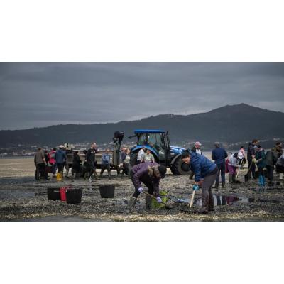 Fallece una mariscadora en A Coruña al ser arrastrada por un golpe de mar