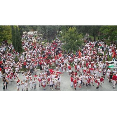 Zizur Mayor busca mayordomo/a para representar a la juventud en fiestas