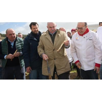 Don Giovanni, el restaurante de un chef italiano amante del espárrago navarro