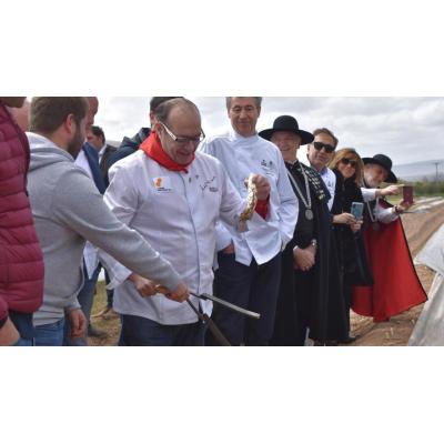 Primer Espárrago de Navarra 2026