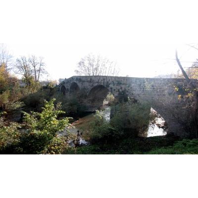 Multa de 1.501 € por arrojar el cadáver de un perro al río Arga