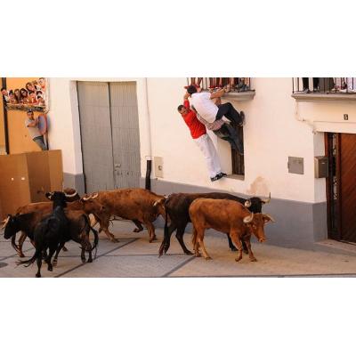El pueblo de Navarra que celebra este fin de semana sus Fiestas de la Juventud con vaquillas, encierros y una gran fideuá