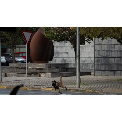 Los TEDAX detonan una maleta sospechosa junto al Palacio de Justicia