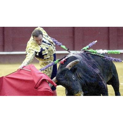 Un toro cornea mortalmente al torero retirado Ricardo Ortiz en los corrales de la plaza de Málaga