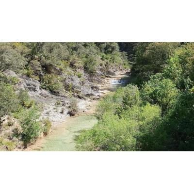 Conoce la naturaleza de Navarra con las excursiones gratuitas del Guarderío de Medio Ambiente