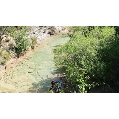 El Gobierno de Navarra ofrece esta primavera visitas guiadas gratuitas para conocer espacios naturales