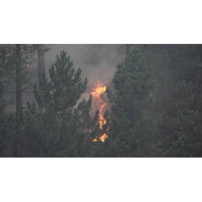 Cuando la lluvia alimenta el fuego