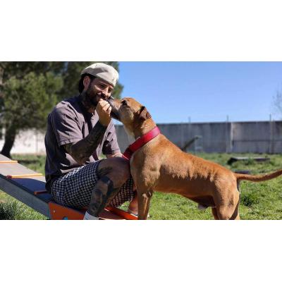 Rubén García, de Osasuna, conoce a un perro que lleva 9 años esperando una familia