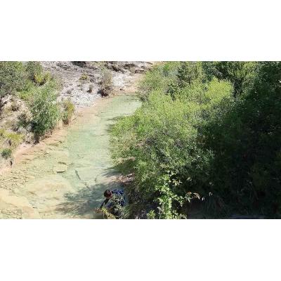 Seis excursiones y charlas gratis para descubrir la naturaleza de Navarra esta primavera
