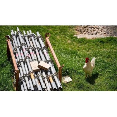 Pamplona desconfina a las más de 170 aves enjauladas en el parque de la Taconera