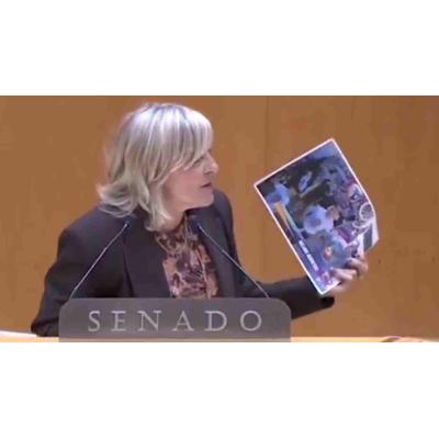 VÍDEO | María Caballero estalla en el Senado y señala al PSOE: "Esto es sacar a ETA a pasear"
