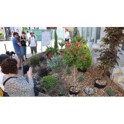 El festival ‘Aoiz en flor’ regresa en el mes de mayo con una segunda edición