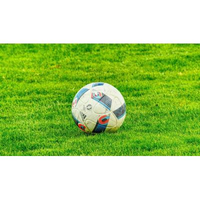 Detenido un padre por agredir a un niño de 12 años en un partido de fútbol en Lloseta (Mallorca)