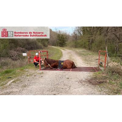 Rescatan a una yegua atrapada en un paso canadiense en Erice