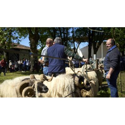 Llega la Feria de Primavera a Elizondo