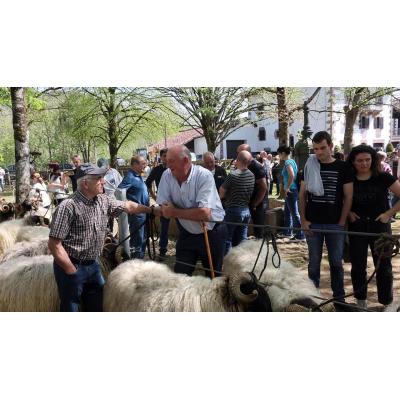 Fotos de la feria de primavera en Elizondo, este viernes, 10 de abril de 2026